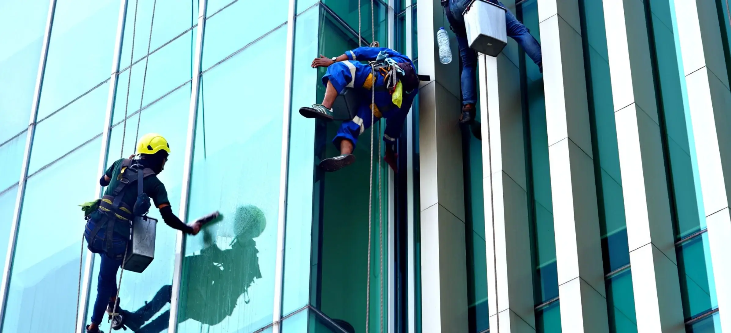 Rope-access technicians in harnesses cleaning the glass facade of a high-rise